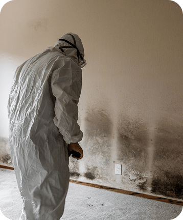 Mold Damage Remediation in Troy, MI., Oakland County & Beyond
